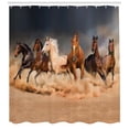thumbnail image 3 of Ambesonne Horse Shower Curtain, Equine Themed Animals, 69"Wx84"L, Brown Sand Brown, 3 of 3