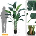 thumbnail image 3 of 6ft Artificial Bird of Paradise Plant Set | Lifelike Faux Palm Tree for Indoor and Outdoor Decor, 3 of 6