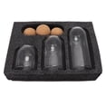 thumbnail image 3 of Tarros De Caramelos De Frutos Secos, Tarros De Almacenamiento De Alimentos Sellados Redondos Para Té De Hojas Sueltas Para Cocina, Hogar, Galletas De Azúcar, Frijol Ccdes Otros, 3 of 8