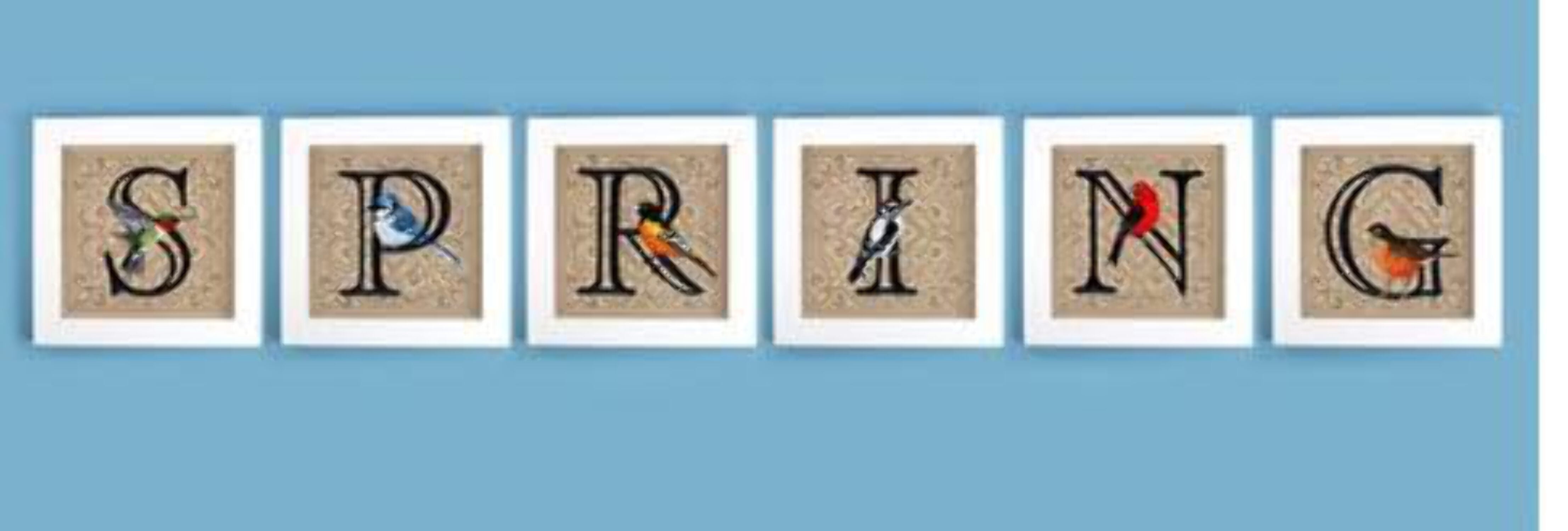 Letter Letter N and Scarlet Tanager Embroidered Iron On/Sew Patch (6.2" x 6.1")