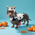 thumbnail image 2 of Vibrant Life Halloween Cow Costume for Dogs and Cats, Black and White, XS, 2 of 6