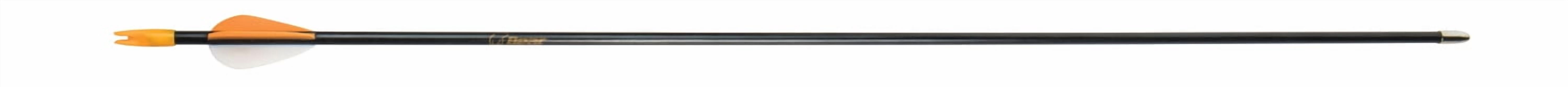 Bear Safetyglass Archery Arrows