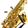 thumbnail image 2 of SHISUYAN 5 Pcs Vis de Réparation de Précision pour Instruments en Bois Vis de Serrage pour Saxophone Vis de Fixation pour Accessoires d'Instruments de Musique, 2 of 8
