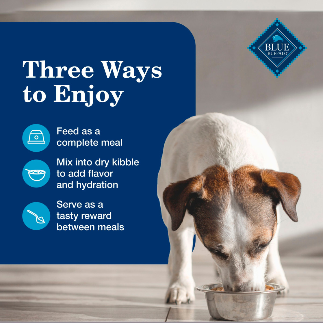 Blue Buffalo Homestyle Senior Wet Dog Food Variety Pack, 6 Cans photo 8