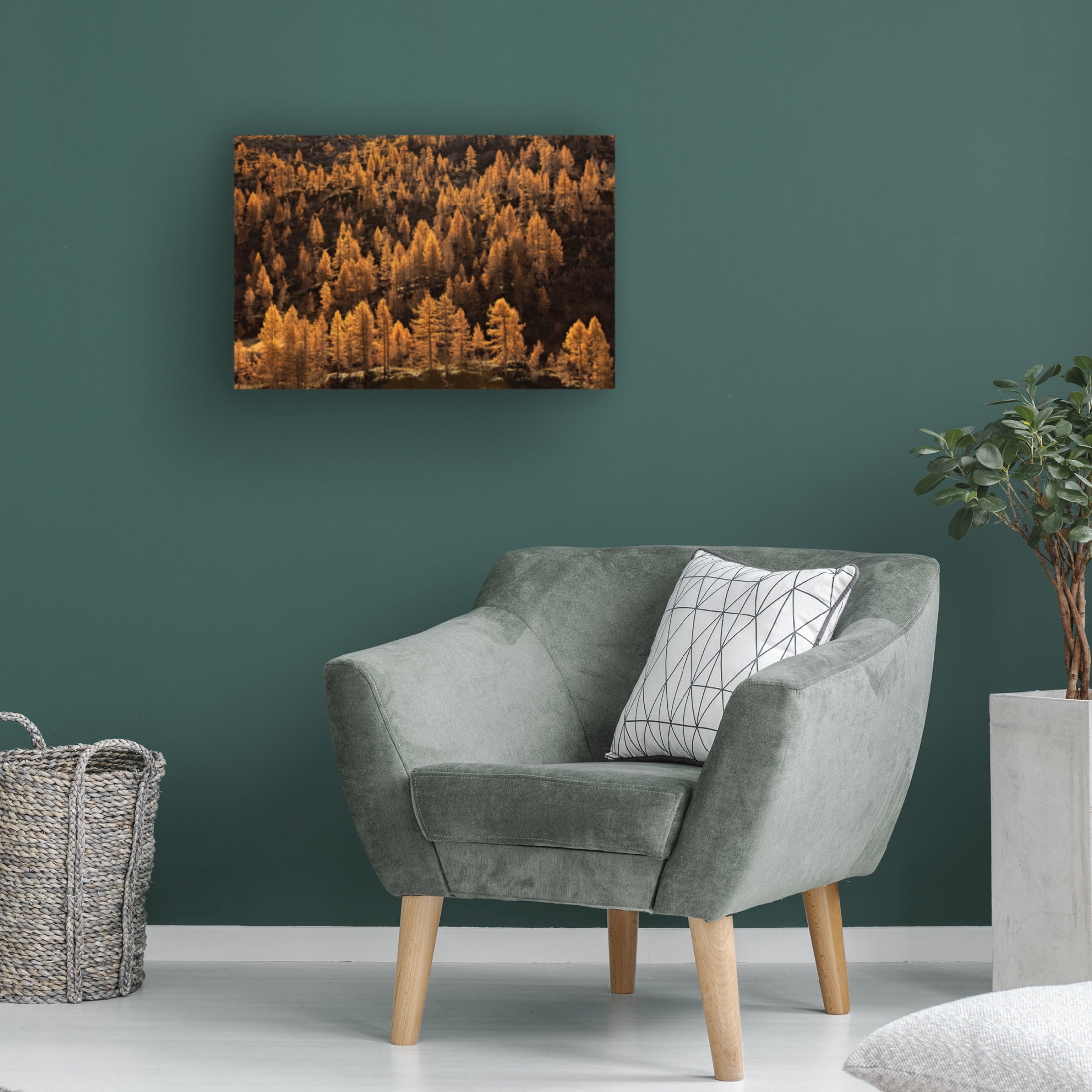 Canvas Wall Art - Michel Manzoni 'Larches In Autumn' Wall Art for Living Room, Bedroom, or Office Décor by Trademark Fine Art - 47 x 30 Inches