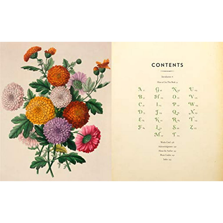 Language Of Flowers Dictionary Best Flower Site