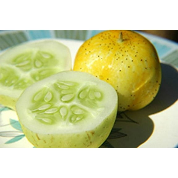 Cucumber Lemon Great Heirloom Vegetable by Seed Kingdom 1 Oz Seeds