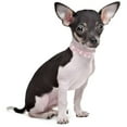 thumbnail image 3 of GASTROPOD 1Pack Rhinestones Dog Cat Collars with Bell Bling Pet Puppy Collars with Soft Velvet Crystal Collars Girl Jeweled Necklace, 3 of 7