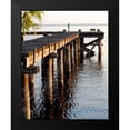 thumbnail image 2 of Peck, Gail 20x24 Black Modern Framed Museum Art Print Titled - Waterside Beauty II, 2 of 5