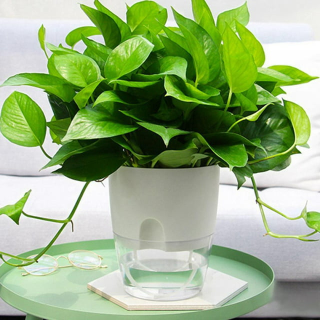 2 Layer Self Watering Planter, Clear Plastic Automatic-Watering Planter Self Watering Pots for Indoor Plants Flower Pot for All House Plants, Succulents