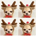 thumbnail image 2 of Warm Dog Winter Clothes Cute Fruit Dog Coat Hoodies Fleece Pet Dogs Costume Jacket for French Bulldog Chihuahua, 2 of 5