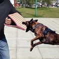 thumbnail image 4 of Greeniant Almohada de lino Premium segura y suave para mordeduras de perro, mangas de entrenamiento efectivas, almohadilla para morder segura Suministros para perros, 4 of 6