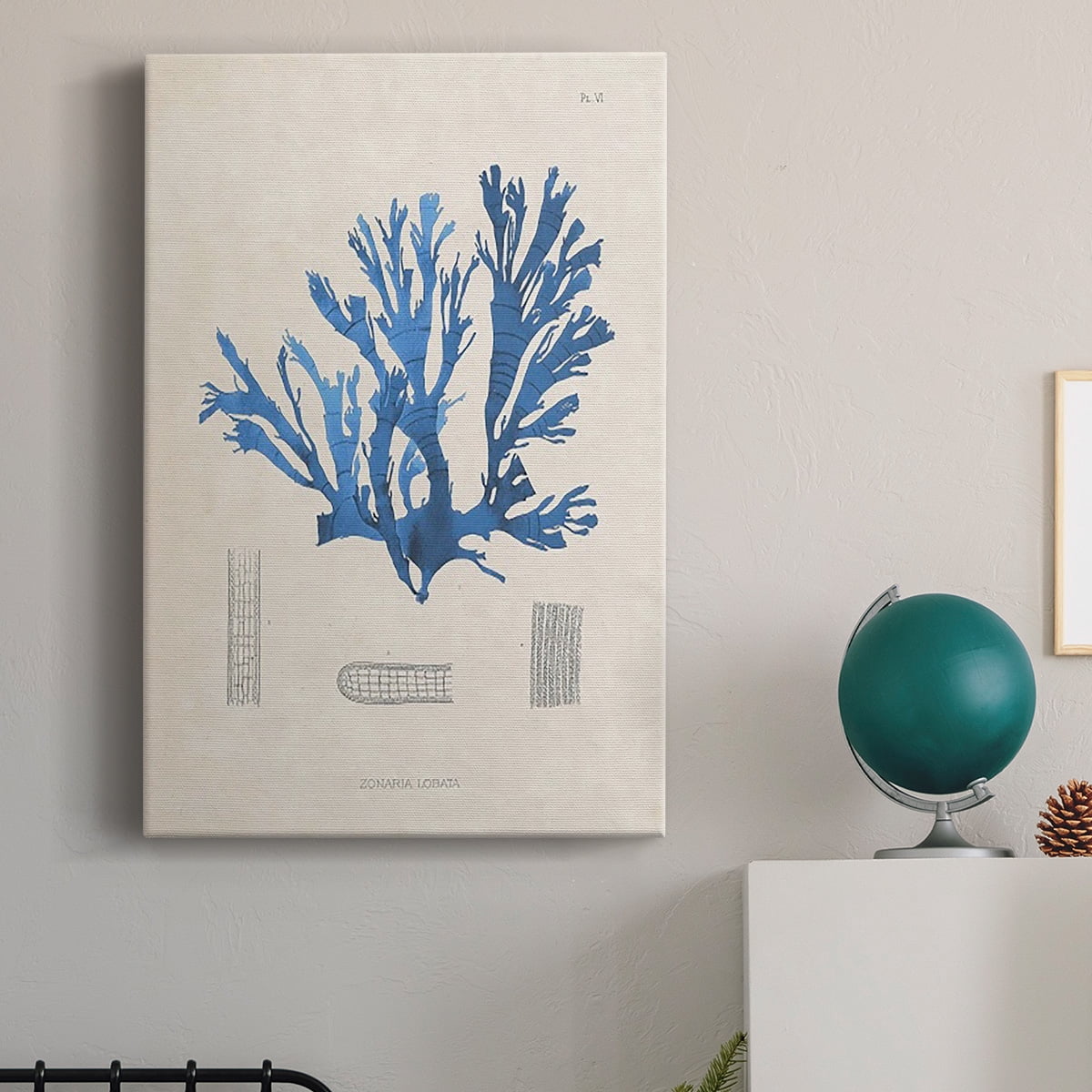 Blue Marine Algae IX Premium Gallery Wrapped Canvas - Ready to Hang