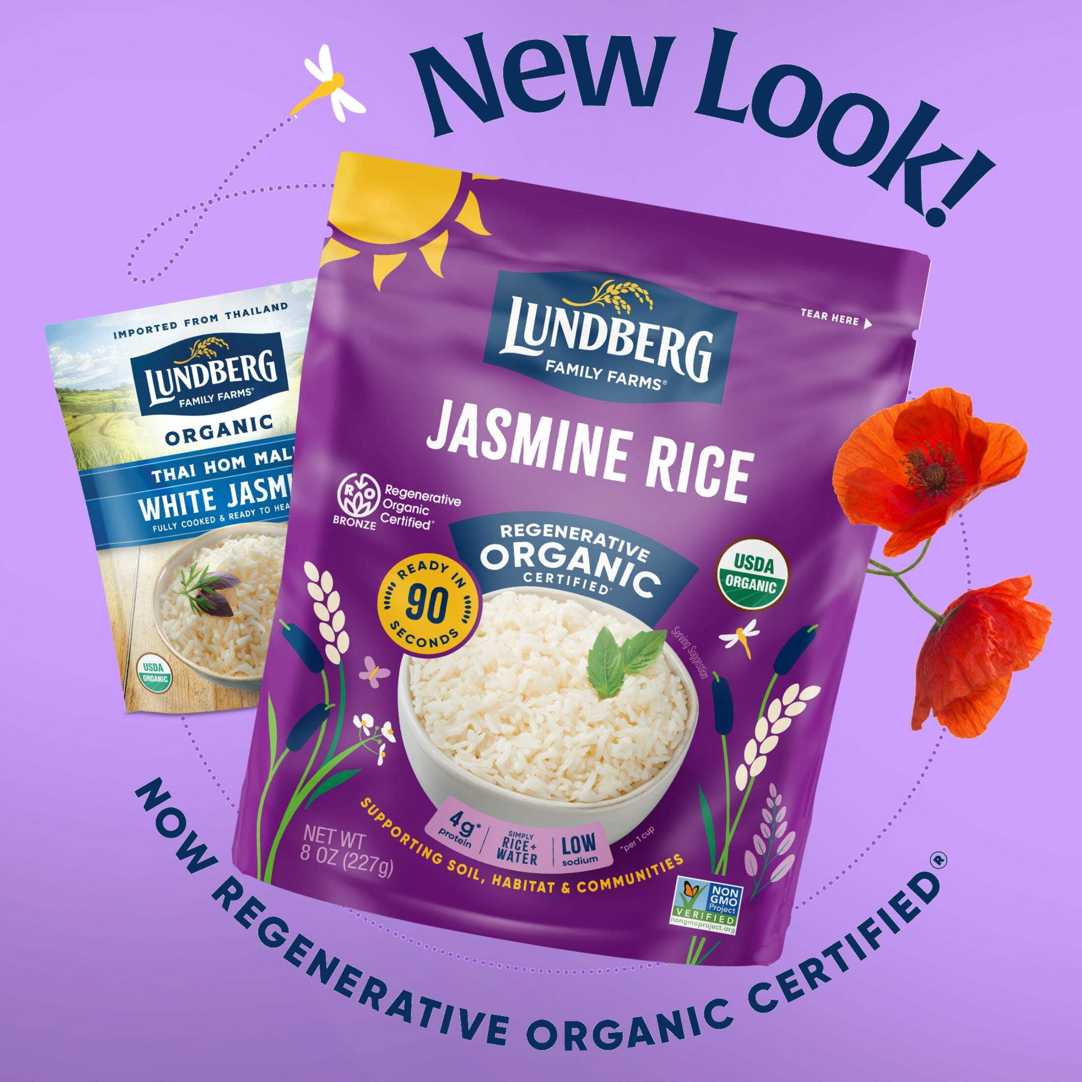 Lundberg Organic 90-Second White Jasmine Rice - 6ct, 8oz