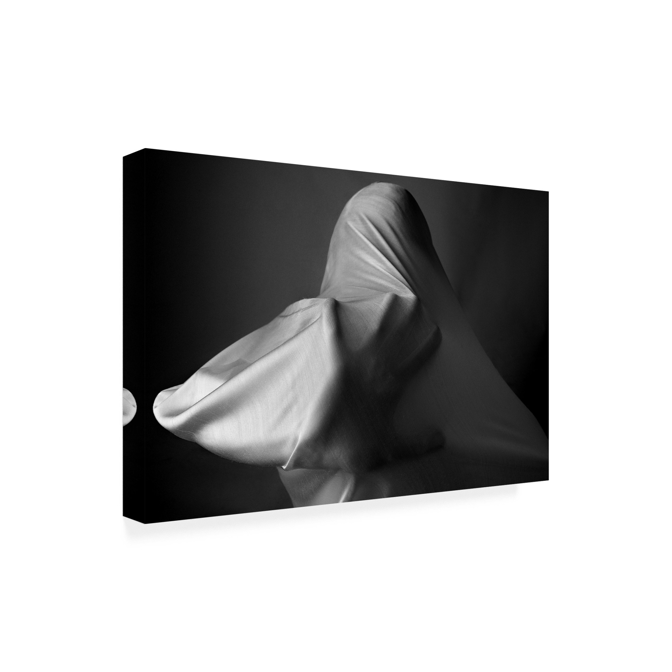 Trademark Fine Art Abbas Arabzadeh Fanatic Canvas Wall Art