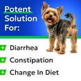 thumbnail image 5 of Pumpkin for Dogs - 8oz Powdered Fiber Supplement and Stool Softener - Treat Diarrhea, Constipation, Upset Stomach, Food Sensitivity - Improve Digestion - Made in USA, 5 of 10