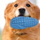 thumbnail image 5 of Fiudx Ofertas relámpago El juguete interactivo para masticar mascotas para perros y gatos fomenta el juego y el cuidado bucal con un diseño robusto adecuado para uso en interiores, 5 of 6