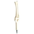 thumbnail image 1 of Pen2 Product Novelty Bone Shape Ballpoint Pen Ink Pen Doctor Pen Stationery for Students and Use Unique Handheld Writing Instrument, 1 of 5