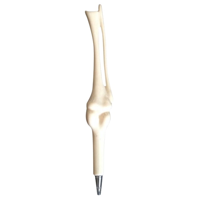 Pen2 Product Novelty Bone Shape Ballpoint Pen Ink Pen Doctor Pen Stationery for Students and Use Unique Handheld Writing Instrument