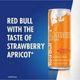Red Bull Amber Edition Strawberry Apricot Energy Drink, 8.4 Fl Oz, 4