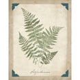 thumbnail image 2 of Wild Apple Portfolio 15x18 Gold Ornate Wood Framed with Double Matting Museum Art Print Titled - Vintage Ferns IX, 2 of 4