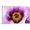 thumbnail image 1 of ARTCANVAS Peony Flower Home Decor Rectangle Canvas Art Print - Size: 40" x 26" (1.50" Deep), 1 of 9