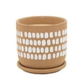 thumbnail image 1 of 6" PAINTED PLANTER W/ SAUCER, BROWN, 1 of 2