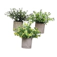 thumbnail image 2 of 3 Piezas de Plantas Falsas en Maceta Strade Fareast Limited Decorativas de Imitación 8 cm x 8 cm, 2 of 8