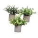 thumbnail image 2 of 3 Piezas de Plantas Falsas en Maceta Strade Fareast Limited Decorativas de Imitación 8 cm x 8 cm, 2 of 8