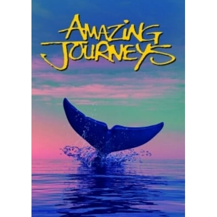 Amazing Journeys (DVD)
