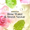 thumbnail image 5 of (4 pack) Olay Fresh Radiance Body Wash, Rose Water & Sweet Nectar, with Vitamin B3, 35oz, 5 of 14