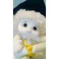 thumbnail image 4 of Dreamsicles Plush Angel Hugs Graduate #8079, 4 of 5