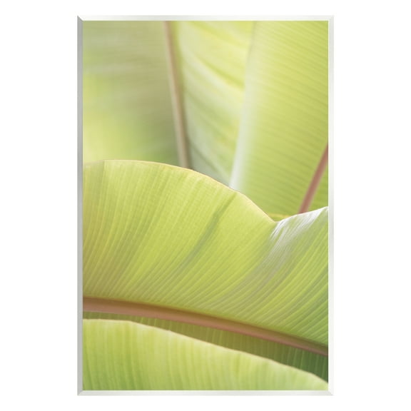 Stupell Modern Botanical Close Up Leaf Botanical & Floral Photography Wall Plaque Unframed Art Print Wall Art