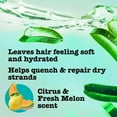 thumbnail image 4 of Maui Moisture Heal & Hydrate + Shea Butter Hair Mask 12 oz (Pack of 2), 4 of 6