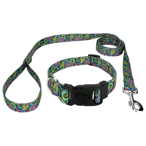 Country Brook Petz® Deluxe Bright Paisley Dog Collar and Leash, Mini