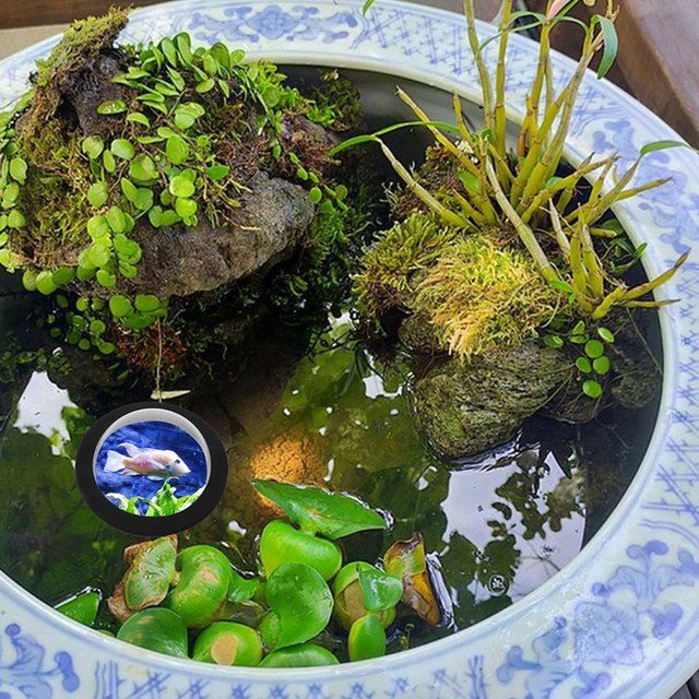 Milisten 2Ud Cúpula Para De Jardín En Acrílico Negro Resistente Y Fácil De Instalar