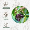 thumbnail image 3 of Siberian Ginseng Powder 4:1 Extract, 3 of 9
