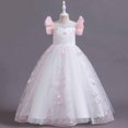 thumbnail image 1 of Vestido de princesa Herrnalise para niñas pequeñas de mediana edad, sin mangas, bordado, de malla, de gasa, de princesa, 1 of 8