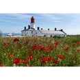 thumbnail image 2 of Souter Lighthouse with a field of red poppies in the foreground; South Shields  Tyne and Wear  England Poster Print by J, 2 of 2