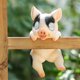thumbnail image 3 of 1 Uds. Animal simulado luz Solar-105 cerdo de pared MFZFUKR CPB-US-DYP772-2, 3 of 5