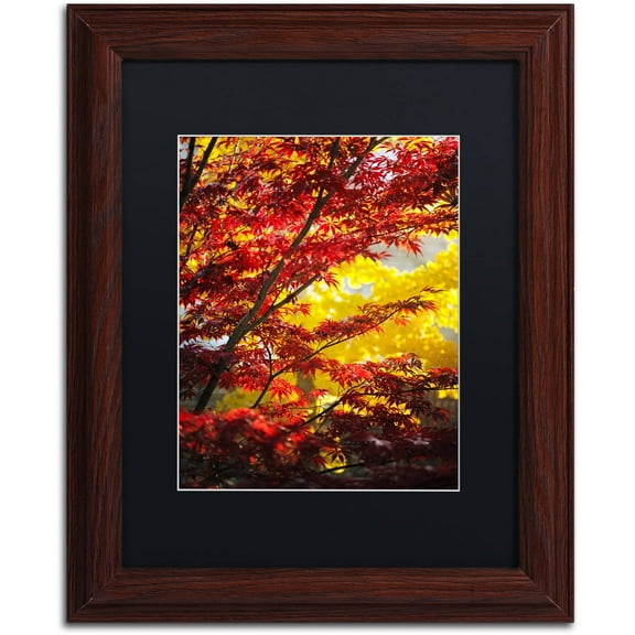Trademark Fine Art "I Believe" Canvas Art by Philippe Sainte-Laudy Black Matte, Wood Frame
