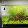 thumbnail image 1 of KAKOWELY Termómetro Multifuncional Para Acuarios Y Reptiles Con Compacto Y Pantalla Digital, 1 of 8