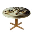 thumbnail image 3 of Acheng Cute Cat Round Tablecloth Washable for Home Kitchen Outdoor Decoration 100% Polyester Fiber Mother's Day Table Cloth 31-35, 3 of 8
