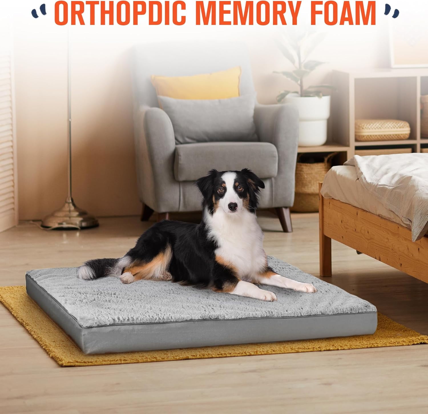 General Orthopedic Dog Bed for Large Dogs, Egg Crate Foam & Removable Cover, Washable Pet Bed, 36 x 27 Inch, Gray