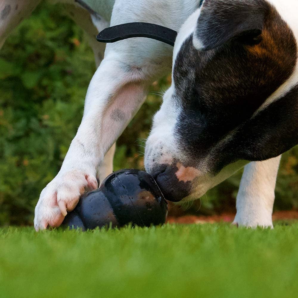 Kong Easy Treat Stuff Dog Toy Fill 3 Flavors (1) Each: Pepperoni, Liver, Peanut Butter (8 Ounces) | MerlinsMart Zine