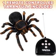 thumbnail image 2 of ArtCreativity Remote Control Spider, Includes 1 Tarantula & 1 Controller, Spooky RC Spider Prank Toy with 8 Individually Moving Legs, Furry Texture, and Light Up Eyes, Great Halloween Toy for Kids, 2 of 7