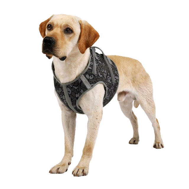 Labymos Arnés para perros con asa para