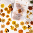 thumbnail image 3 of MYG 45pcs Simulated Flower Stickers Diary Deco Craft Scrapbook Aesthetic Stationery, 3 of 6