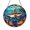 Acrylic 3.5 Inch, variant on Vivid Curious Sea Seal Suncatcher Window Hanging Display Item Glass