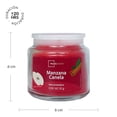 thumbnail image 2 of Vela Mainstays Manzana Canela 85 G, 2 of 4